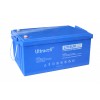 Батарея аккумуляторная Ultracell LiFePO4 24(25.6)V 100Ah/ 2560W(2.56kW) Grade A STANDARD